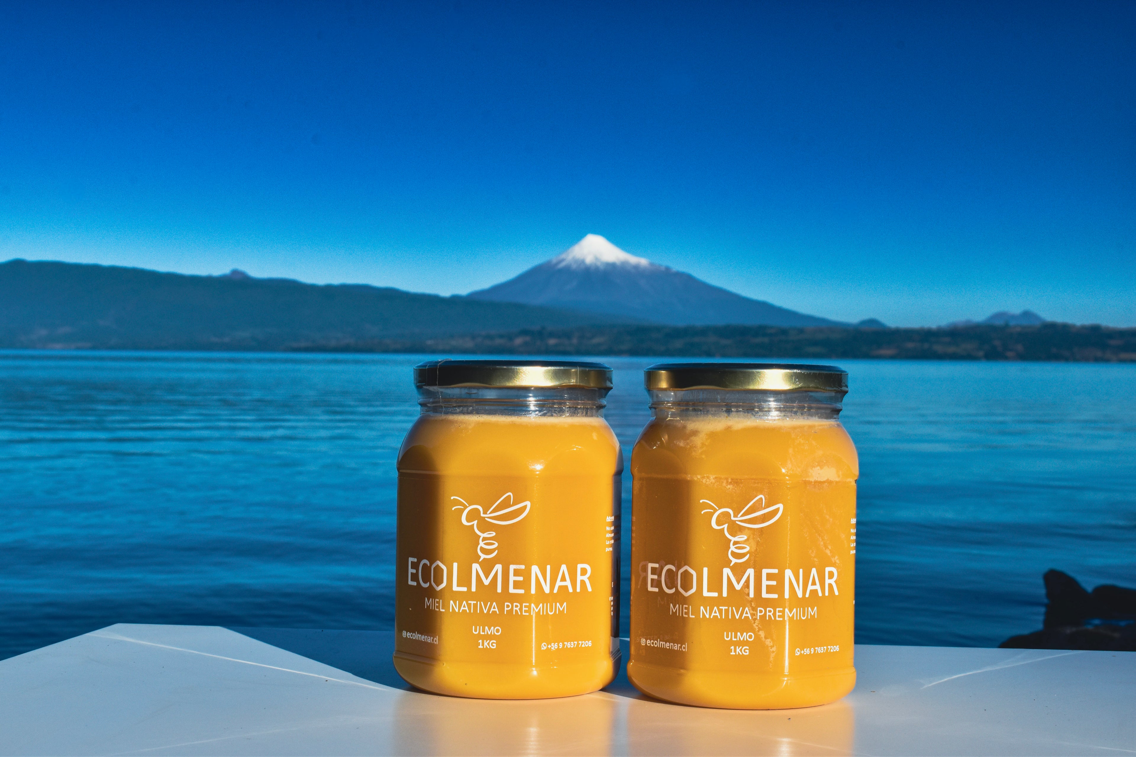 Miel de Ulmo 2Kg - Cosecha marzo 2026