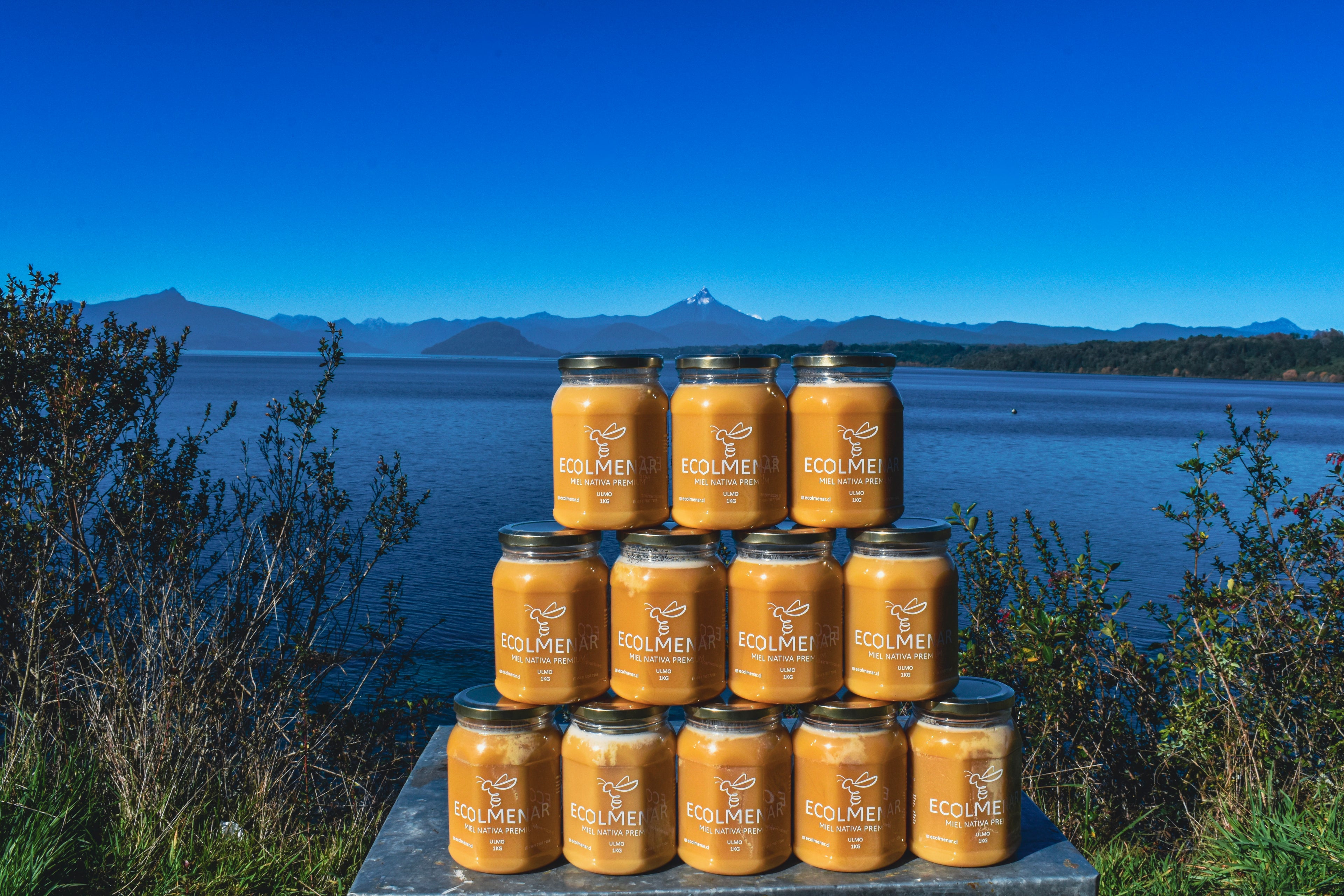 Miel de Ulmo 12Kg (Envío gratis) - Cosecha marzo 2026