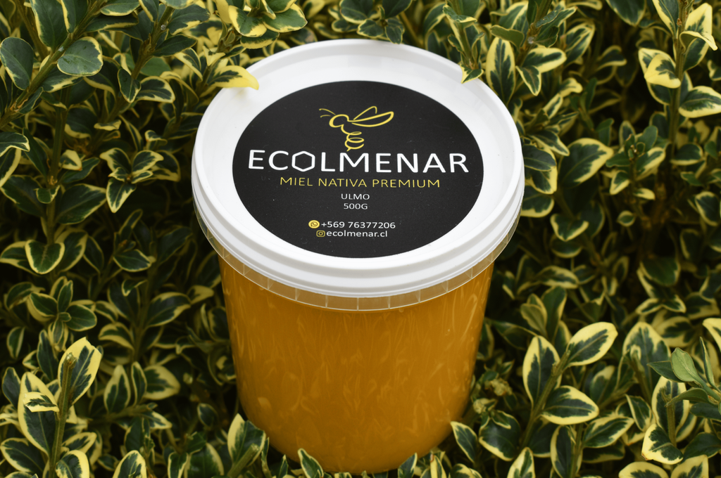 Miel de Ulmo formato 500grs - Cosecha marzo 2026
